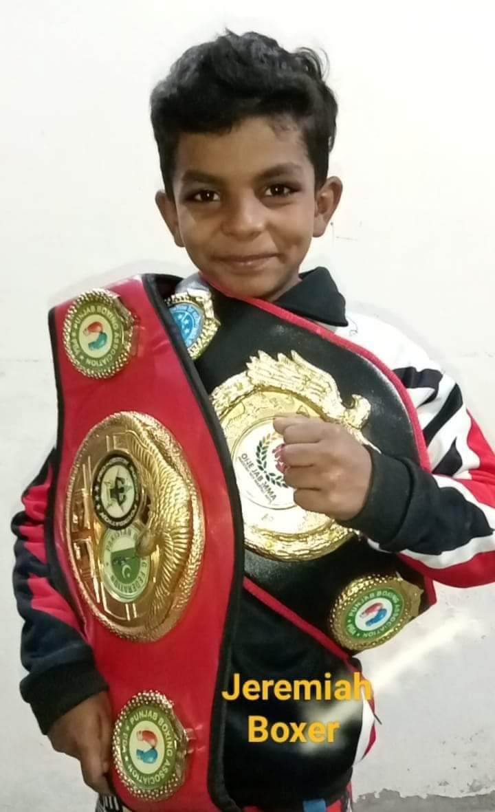 boxer