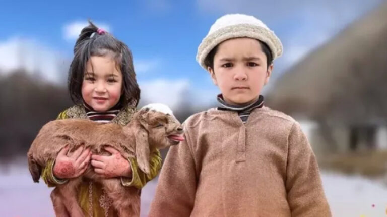 sheraz
