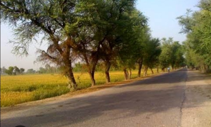 Village