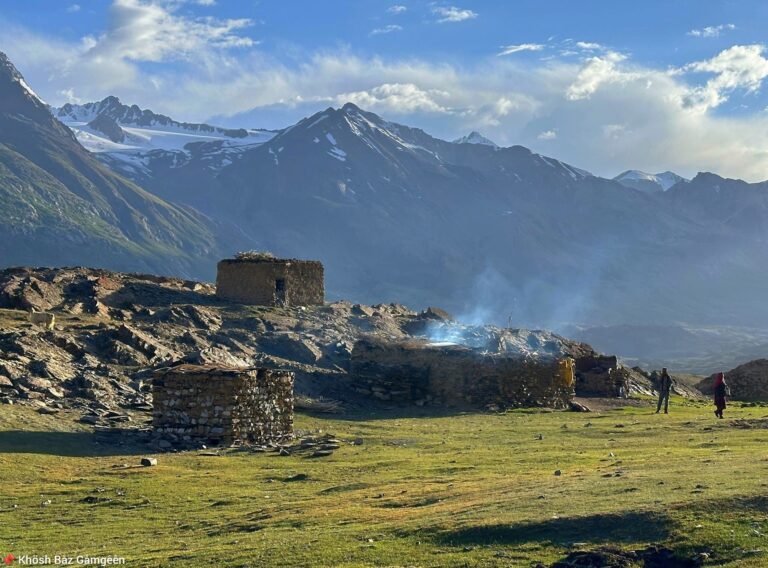 BROGHLI