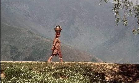 Kashmir culture