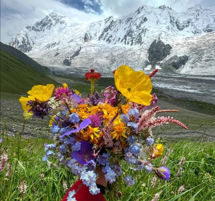 rakaposhi33