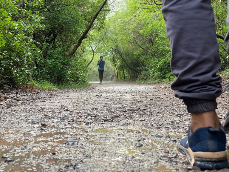 trail 555