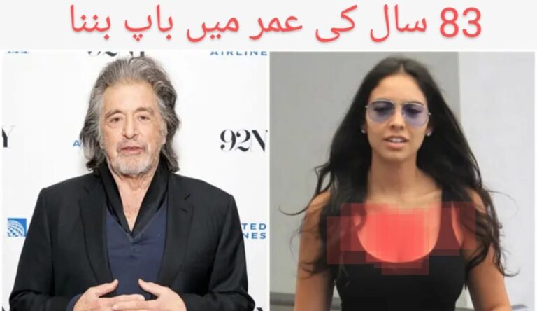 WhatsApp Image 2024-10-22 at 15.38.43
