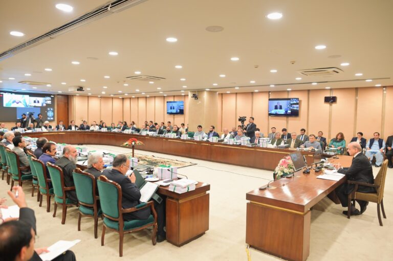 Shehbaz Sharif chairs a meeting of the federal cabinet