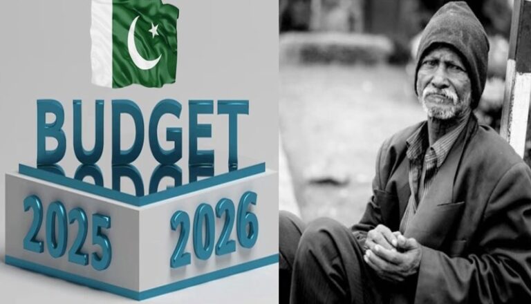 بجٹ غریب دوست نہیں