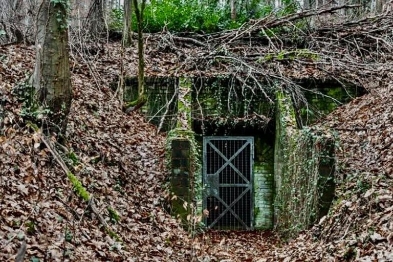 Hide out