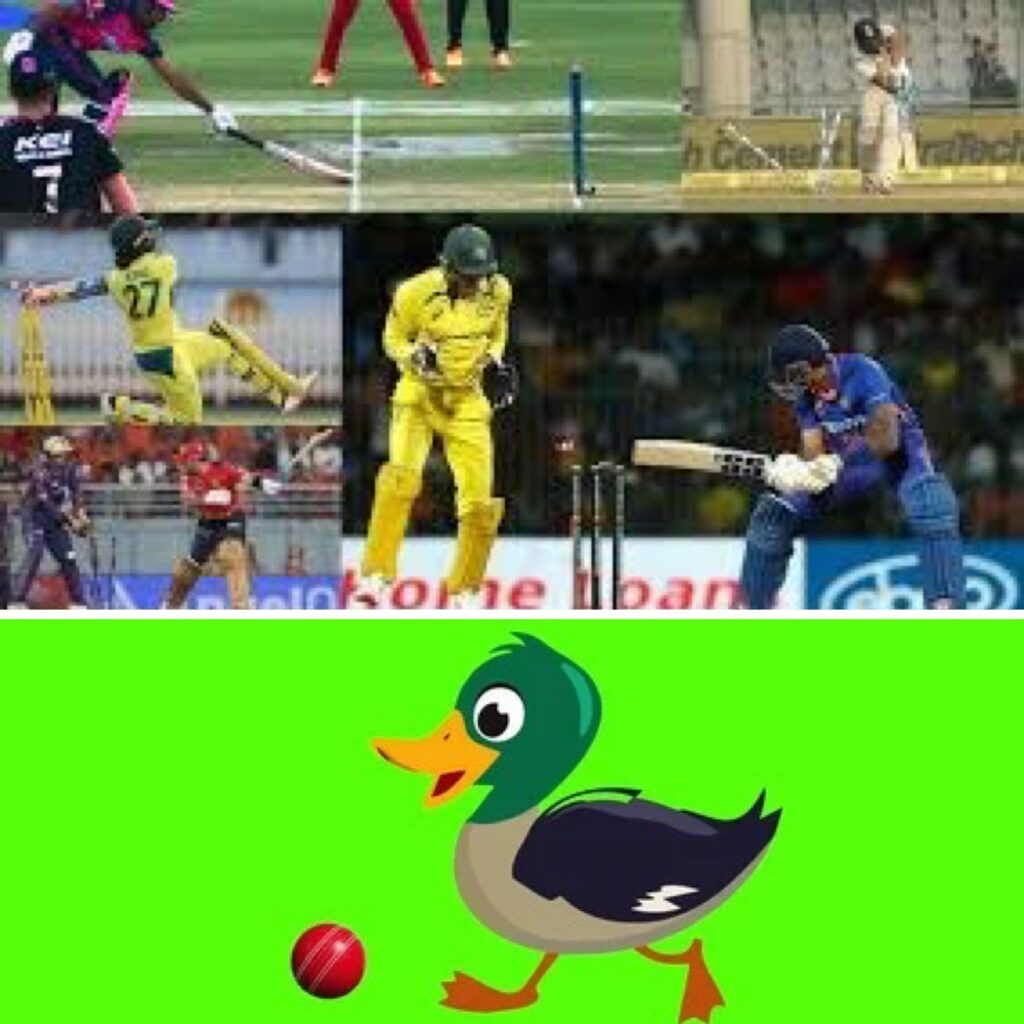 DUCK OUT