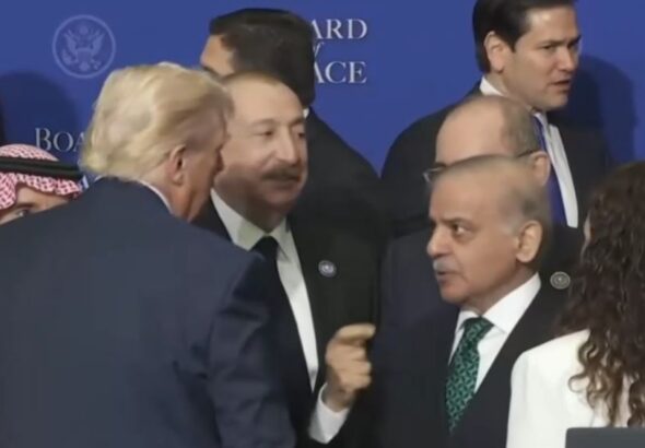 SHAHBAZ TRUMP