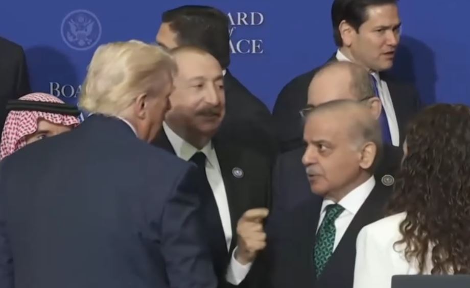 SHAHBAZ TRUMP