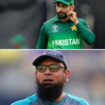 hafeez and saqlain