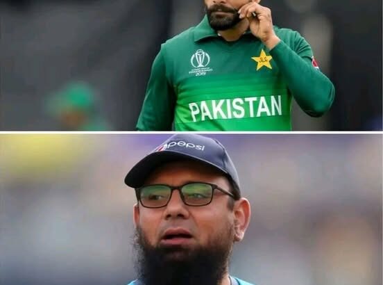 hafeez and saqlain