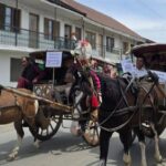 tanga kashmir sopore