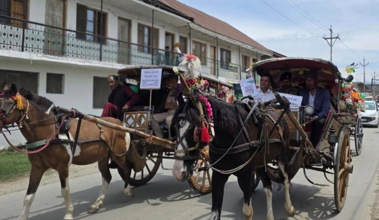 tanga kashmir sopore